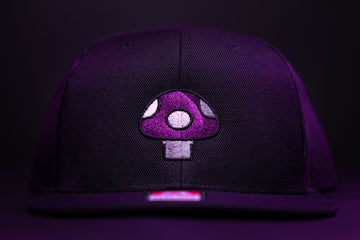 Mushroom Hat (Purple) - Black Flatbill Trucker Hat